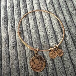 Alex and Ani Gold Cape Cod Charm Bracelet